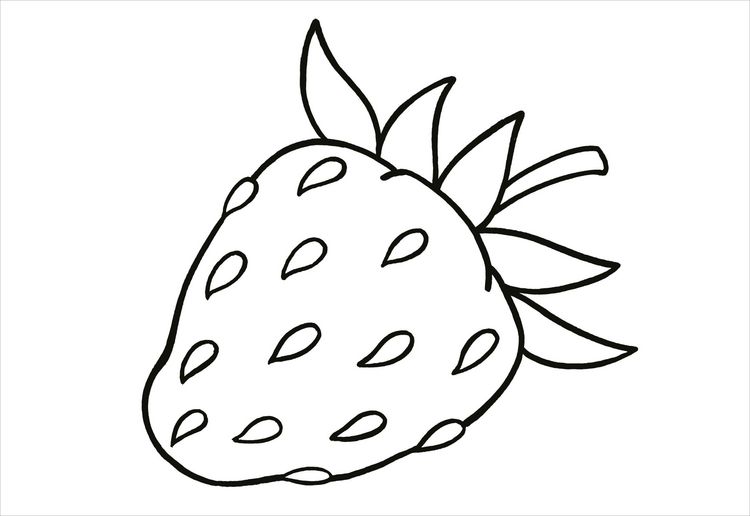 Produktbild: Erstes Malbuch. Garten