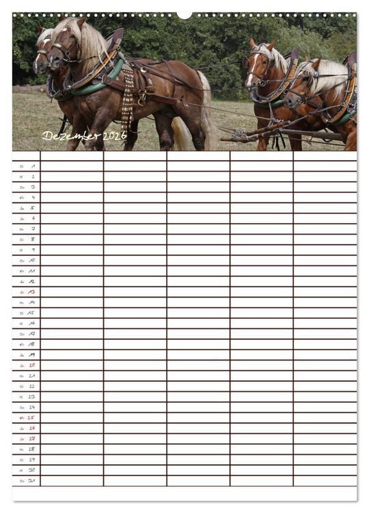 Produktbild: Der Kaltblut-Familienplaner (hochwertiger Premium Wandkalender 2026 DIN A2 hoch), Kunstdruck in Hochglanz