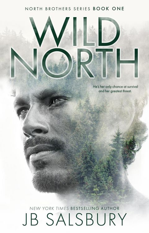 Produktbild: Wild North (North Brothers #1)