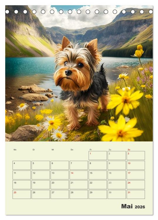 Produktbild: Yorkshire Terrier. Fr&ouml;hliche Energieb&uuml;ndel in Aktion (Tischkalender 2026 DIN A5 hoch), CALVENDO Monatskalender