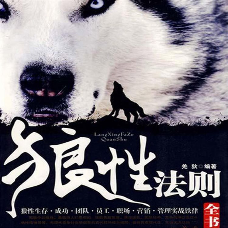 Produktbild: 狼性法则