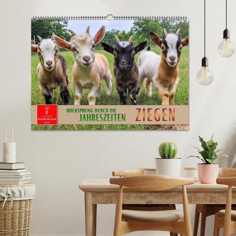 Produktbild: Ziegen - Bocksprung durch das Jahr (Wandkalender 2026 DIN A2 quer), CALVENDO Monatskalender