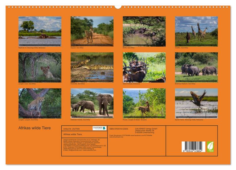 Produktbild: Afrikas wilde Tiere (hochwertiger Premium Wandkalender 2026 DIN A2 quer), Kunstdruck in Hochglanz