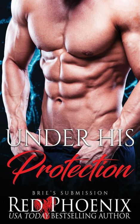 Produktbild: Under His Protection