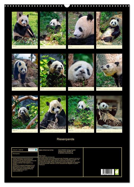 Produktbild: Riesenpanda (Wandkalender 2026 DIN A2 hoch), CALVENDO Monatskalender