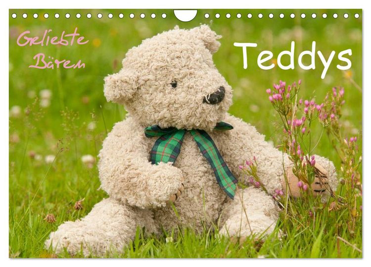 Produktbild: Geliebte B&auml;ren - Teddys (Wandkalender 2026 DIN A4 quer), CALVENDO Monatskalender