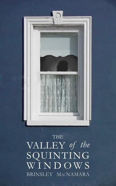 Produktbild: The Valley of the Squinting Windows