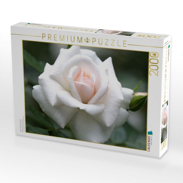 Produktbild: CALVENDO Puzzle Rose 'Gru&szlig; an Aachen' | 2000 Teile Lege-Gr&ouml;&szlig;e 90x67cm Foto-Puzzle f&uuml;r gl&uuml;ckliche Stunden