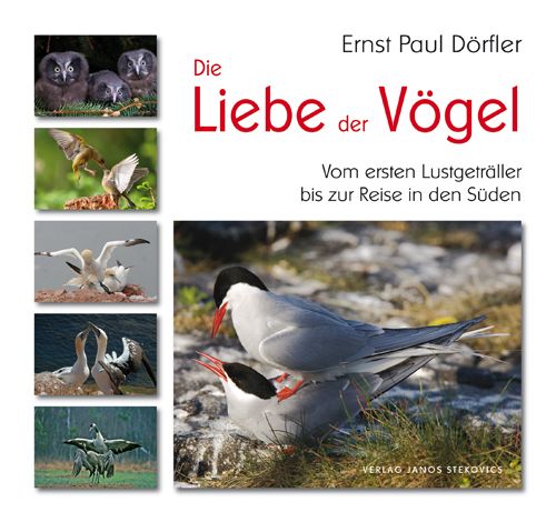 Produktbild: Die Liebe der V&ouml;gel