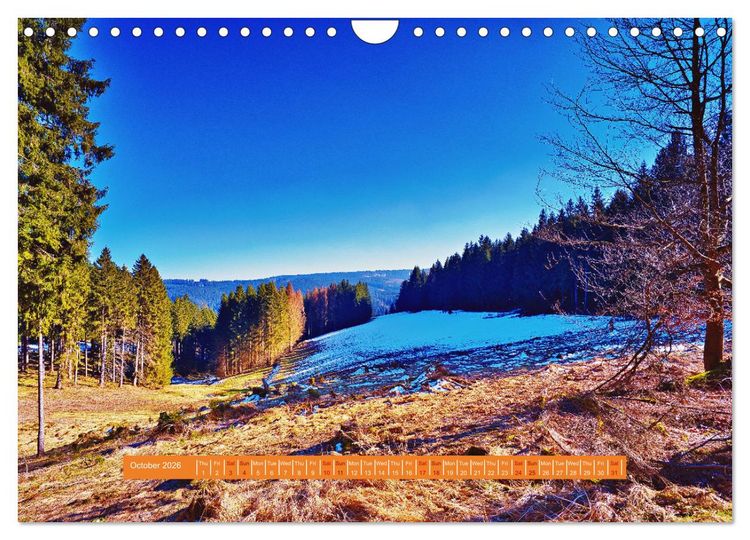 Produktbild: Unique Thuringian Forest (Wall Calendar 2026 DIN A4 landscape), CALVENDO 12 Month Wall Calendar