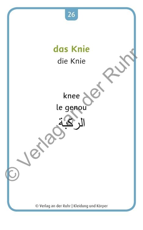 Produktbild: Kleidung und K&ouml;rper - Deutsch, Englisch, Franz&ouml;sisch und Arabisch