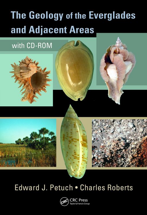 Produktbild: The Geology of the Everglades and Adjacent Areas