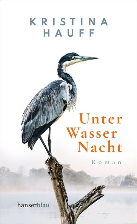 Bild vom Artikel Unter Wasser Nacht vom Autor Kristina Hauff