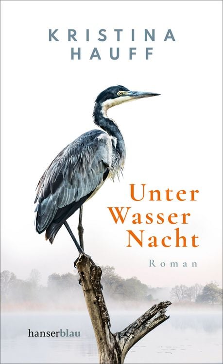 Produktbild: Unter Wasser Nacht