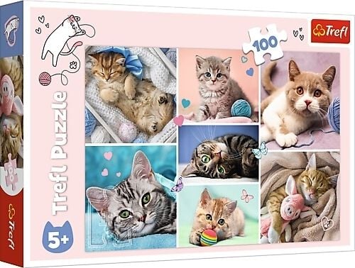 Produktbild: Katzenwelt (Kinderpuzzle)