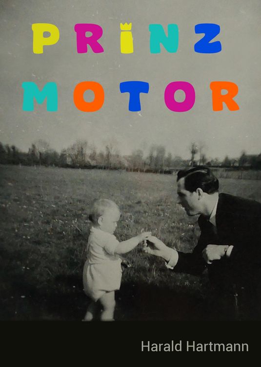 Produktbild: Prinz Motor