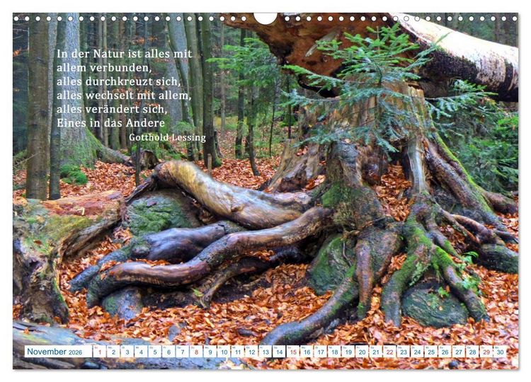 Produktbild: Kraftquelle Natur (Wandkalender 2026 DIN A3 quer), CALVENDO Monatskalender