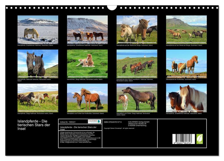 Produktbild: Islandpferde - Die tierischen Stars der Insel (Wandkalender 2026 DIN A3 quer), CALVENDO Monatskalender