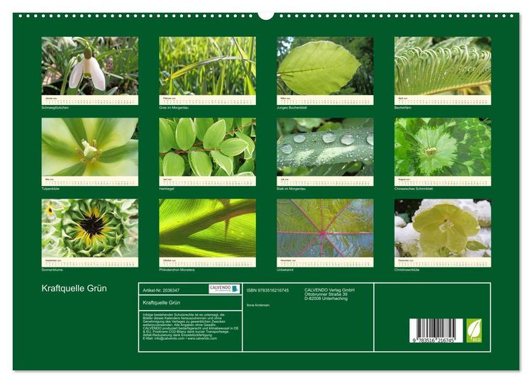 Produktbild: Kraftquelle Gr&uuml;n (hochwertiger Premium Wandkalender 2026 DIN A2 quer), Kunstdruck in Hochglanz