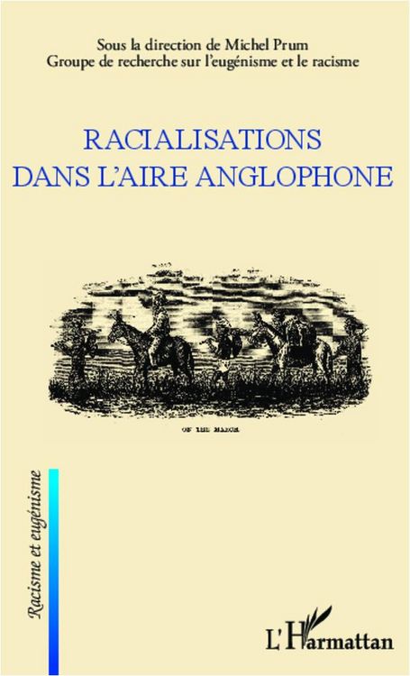 Produktbild: Racialisations dans l'aire anglophone