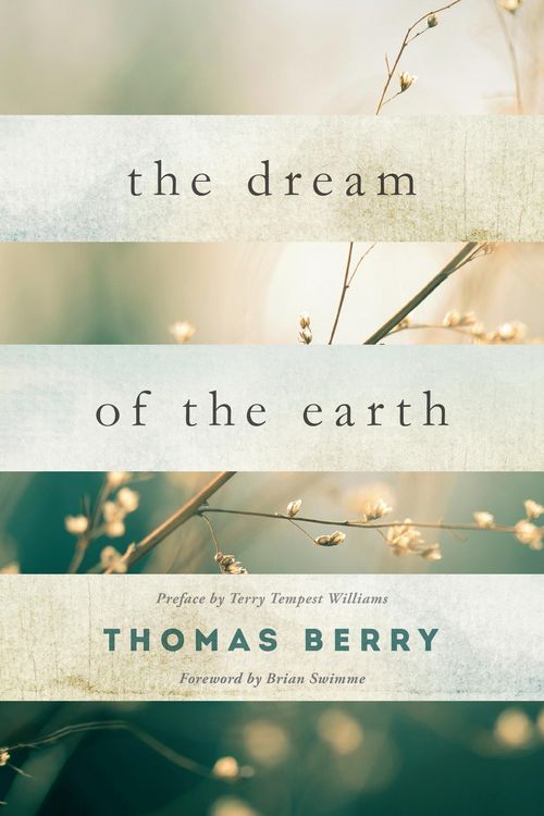 Produktbild: The Dream of the Earth