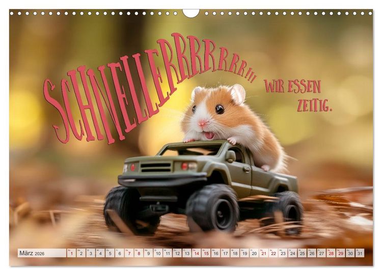 Produktbild: Hamsterhumor - Kleine Zuckerschnute, aber oho (Wandkalender 2026 DIN A3 quer), CALVENDO Monatskalender