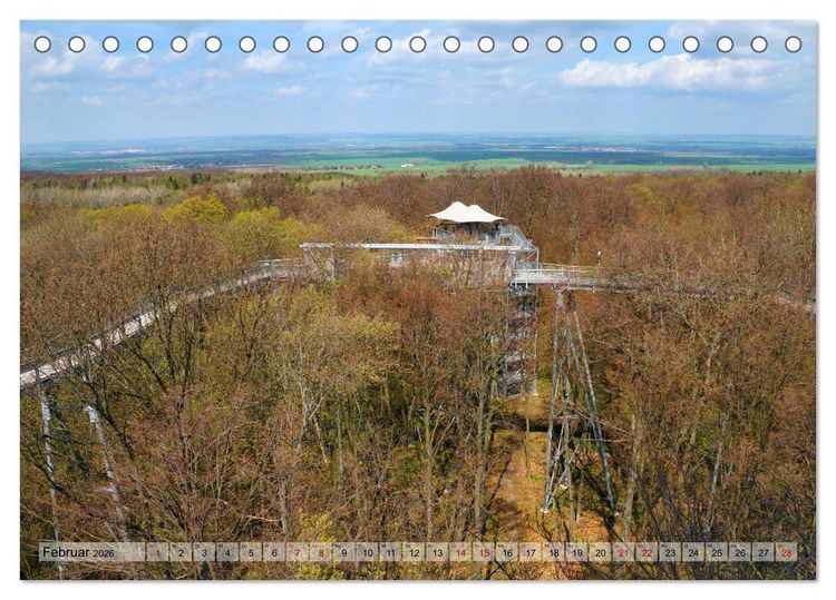 Produktbild: Der Hainich in Th&uuml;ringen - Weltnaturerbe (Tischkalender 2026 DIN A5 quer), CALVENDO Monatskalender
