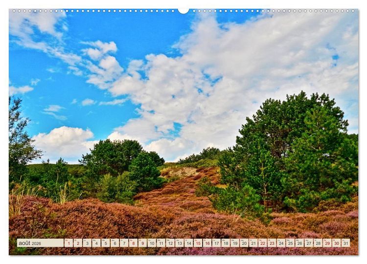 Produktbild: L'Allemagne, tes paysages (Calendrier mural 2026 DIN A2 vertical) calendrier de bureau