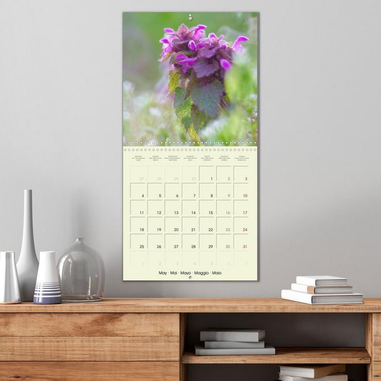 Produktbild: Flowers from dreamland (Wall Calendar 2026 12 &times; 12 Inch) CALVENDO 12 Month Wall Calendar