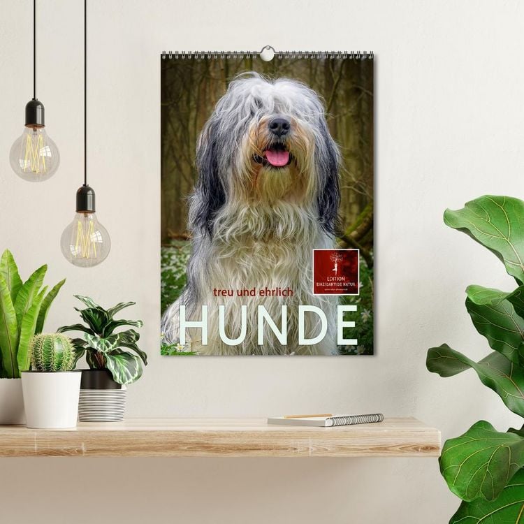Produktbild: Hunde - treu und ehrlich (Wandkalender 2026 DIN A3 hoch), CALVENDO Monatskalender