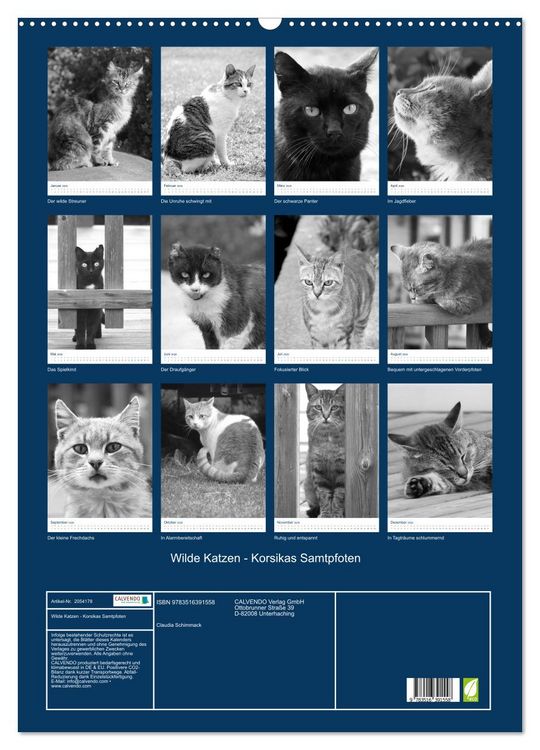 Produktbild: Wilde Katzen - Korsikas Samtpfoten (Wandkalender 2026 DIN A2 hoch), CALVENDO Monatskalender