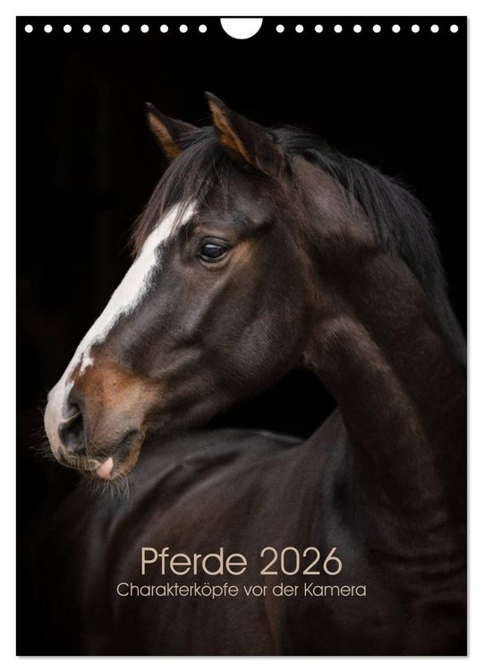 Produktbild: Pferde 2026 - Charakterk&ouml;pfe vor der Kamera (Wandkalender 2026 DIN A4 hoch), CALVENDO Monatskalender