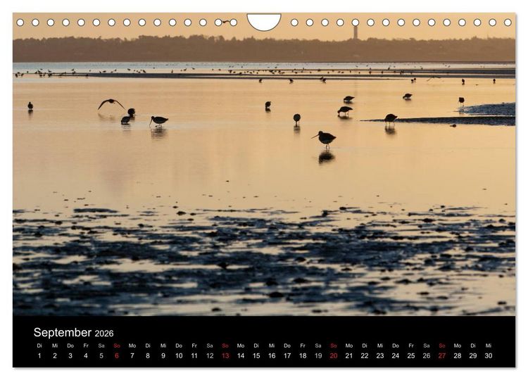 Produktbild: Sylt-Abende - Fotografien von Beate Zoellner (Wandkalender 2026 DIN A4 quer), CALVENDO Monatskalender