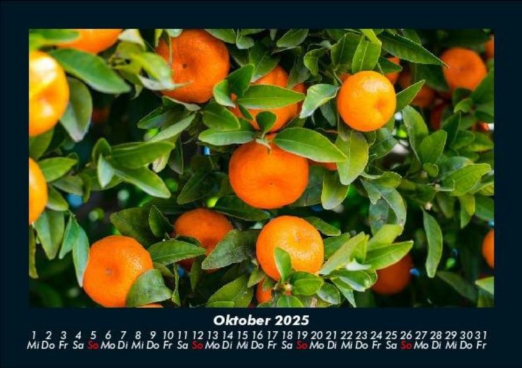 Produktbild: Obstkalender 2025 Fotokalender DIN A5