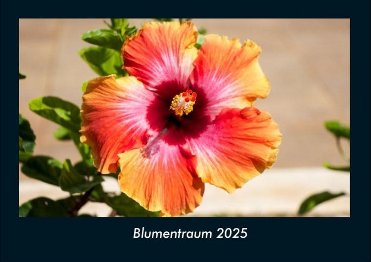 Produktbild: Blumentraum 2025 Fotokalender DIN A4