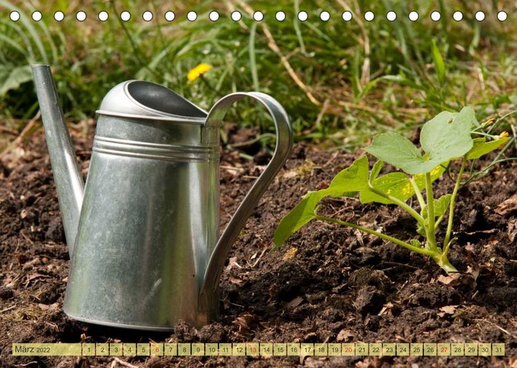 Produktbild: Bauerngarten - bunte Vielfalt (Tischkalender 2022 DIN A5 quer)