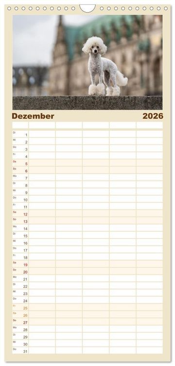 Produktbild: Familienplaner 2026 - Hunde in der City - Unterwegs in Hamburg mit 5 Spalten (Wandkalender, 21 x 45 cm) CALVENDO