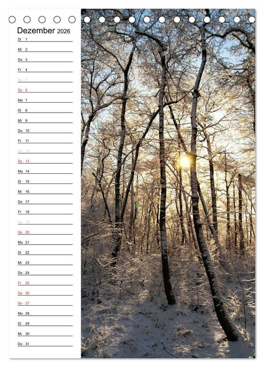 Produktbild: Land Brandenburg im Wechsel der Jahreszeiten (Tischkalender 2026 DIN A5 hoch), CALVENDO Monatskalender