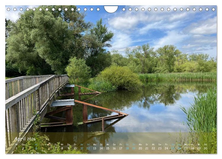 Produktbild: Moortr&auml;ume - Natursch&ouml;nheit in Bildern (Wandkalender 2026 DIN A4 quer), CALVENDO Monatskalender