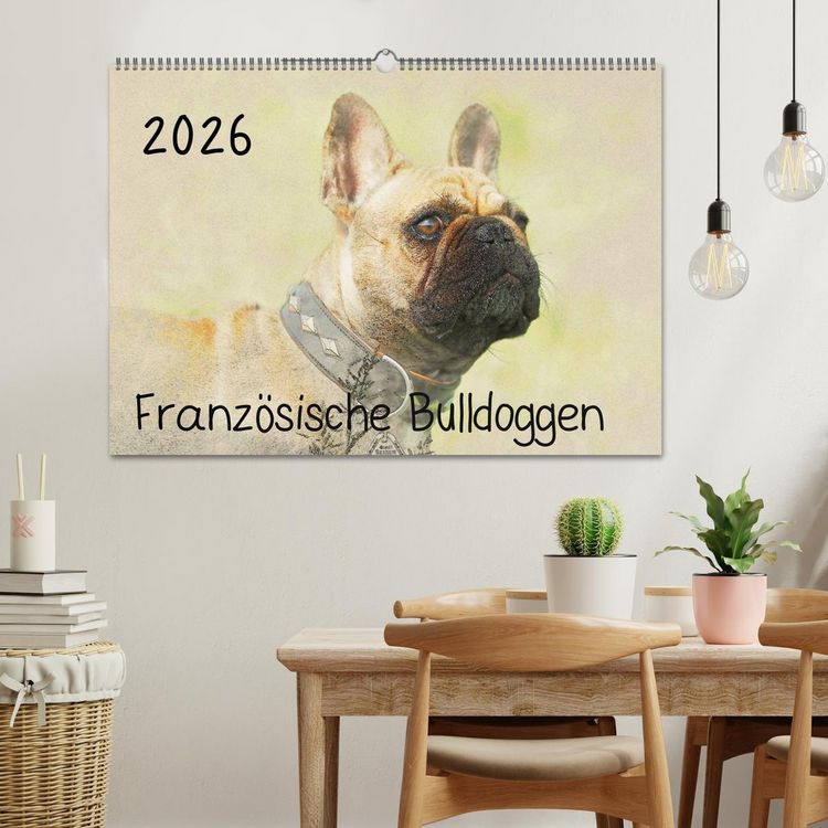 Produktbild: Franz&ouml;sische Bulldoggen 2026 (Wandkalender 2026 DIN A2 quer), CALVENDO Monatskalender