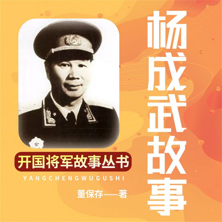 Produktbild: 杨成武故事