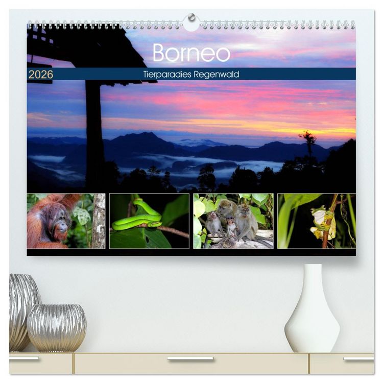 Produktbild: Borneo - Tierparadies Regenwald (hochwertiger Premium Wandkalender 2026 DIN A2 quer), Kunstdruck in Hochglanz