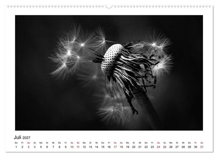Produktbild: Die grafische Sch&ouml;nheit der Pflanzen &ndash; Schwarz-Wei&szlig; (hochwertiger Premium Wandkalender 2027 DIN A2 quer), Kunstdruck in Hochglanz