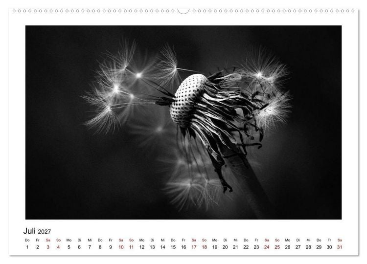 Produktbild: Die grafische Sch&ouml;nheit der Pflanzen &ndash; Schwarz-Wei&szlig; (Wandkalender 2027 DIN A2 quer), CALVENDO Monatskalender