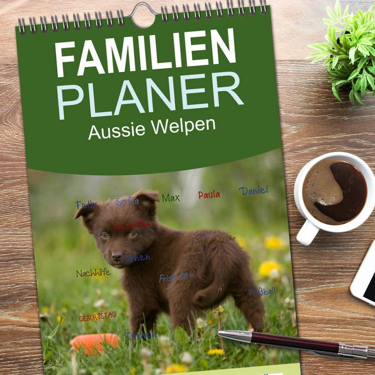 Produktbild: Familienplaner 2026 - Aussie Welpen 2026 mit 5 Spalten (Wandkalender, 21 x 45 cm) CALVENDO