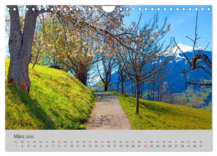 Produktbild: Komm, ich zeige dir den Wald (Wandkalender 2026 DIN A4 quer), CALVENDO Monatskalender