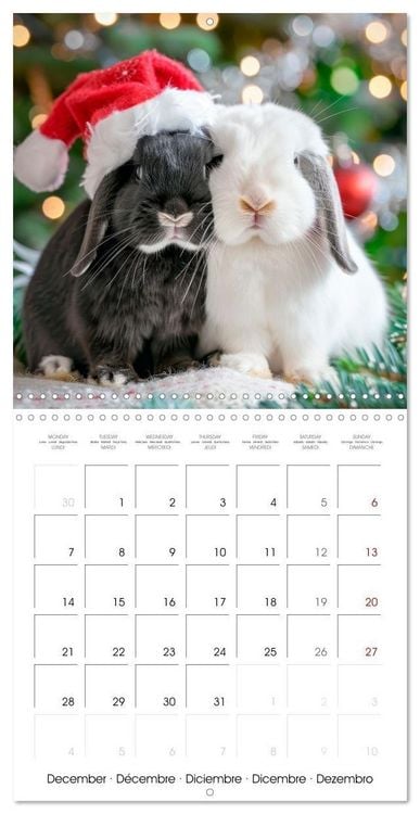 Produktbild: RABBITS Cuddly little guys (Wall Calendar 2026 12 &times; 12 Inch) CALVENDO 12 Month Wall Calendar