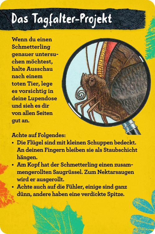Produktbild: 50 Insekten, Spinnen & Co. - Nature Zoom (Blechdose)