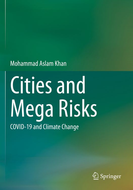 Produktbild: Cities and Mega Risks