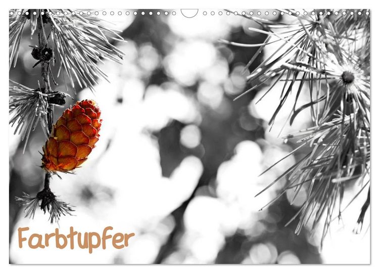 Produktbild: Farbtupfer (Wandkalender 2026 DIN A3 quer), CALVENDO Monatskalender
